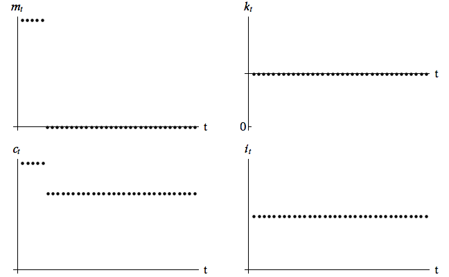Impulse response to a negative shock to m_t (monetary assets stolen).