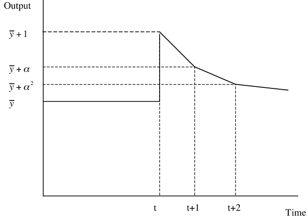Dynamics of Output With A White Noise Shock