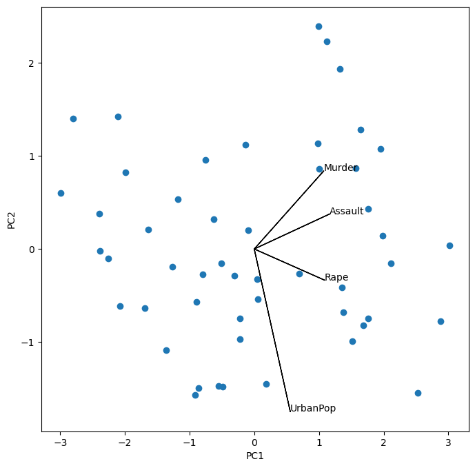 <Figure size 800x800 with 1 Axes>